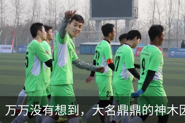 万万没有想到，大名鼎鼎的神木因为一根灯杆火了......