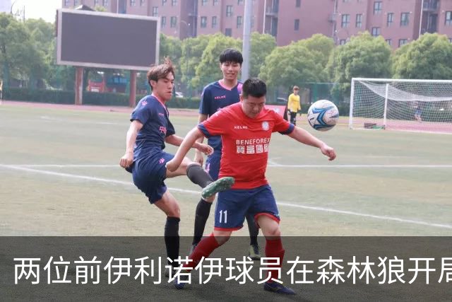 两位前伊利诺伊球员在森林狼开局抢眼，多苏穆场均12分香农13分