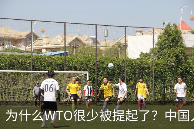 为什么WTO很少被提起了？中国入世谈判花了15年，如今几乎被架空