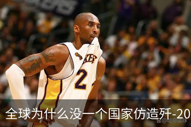 全球为什么没一个国家仿造歼-20，瑞典已破译！