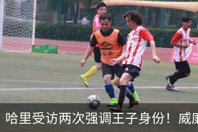 哈里受访两次强调王子身份！威廉被问称呼，却只说怎么合适怎么来