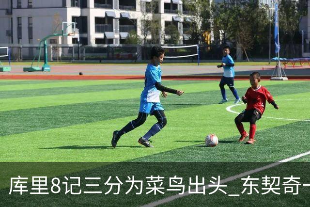 库里8记三分为菜鸟出头 东契奇一节开香槟成笑柄了？