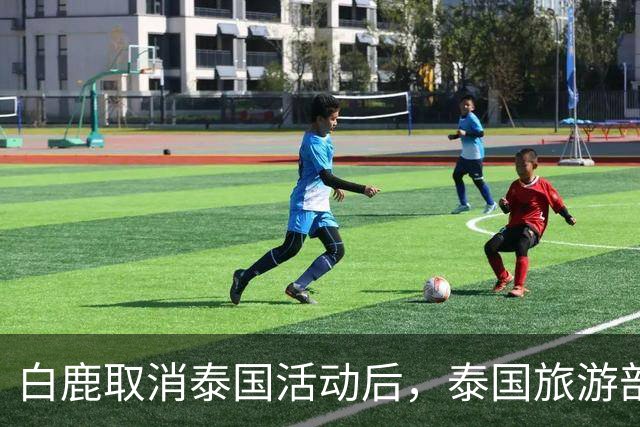 白鹿取消泰国活动后，泰国旅游部长一番话引发争议！